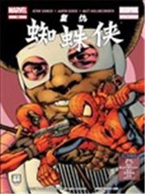 复仇蜘蛛侠